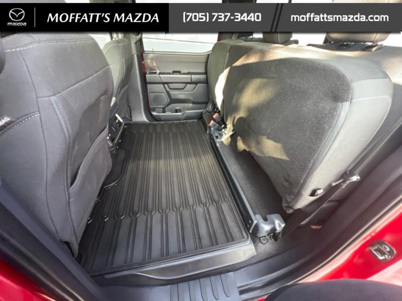 2024 Ford F-150 XLT Photo