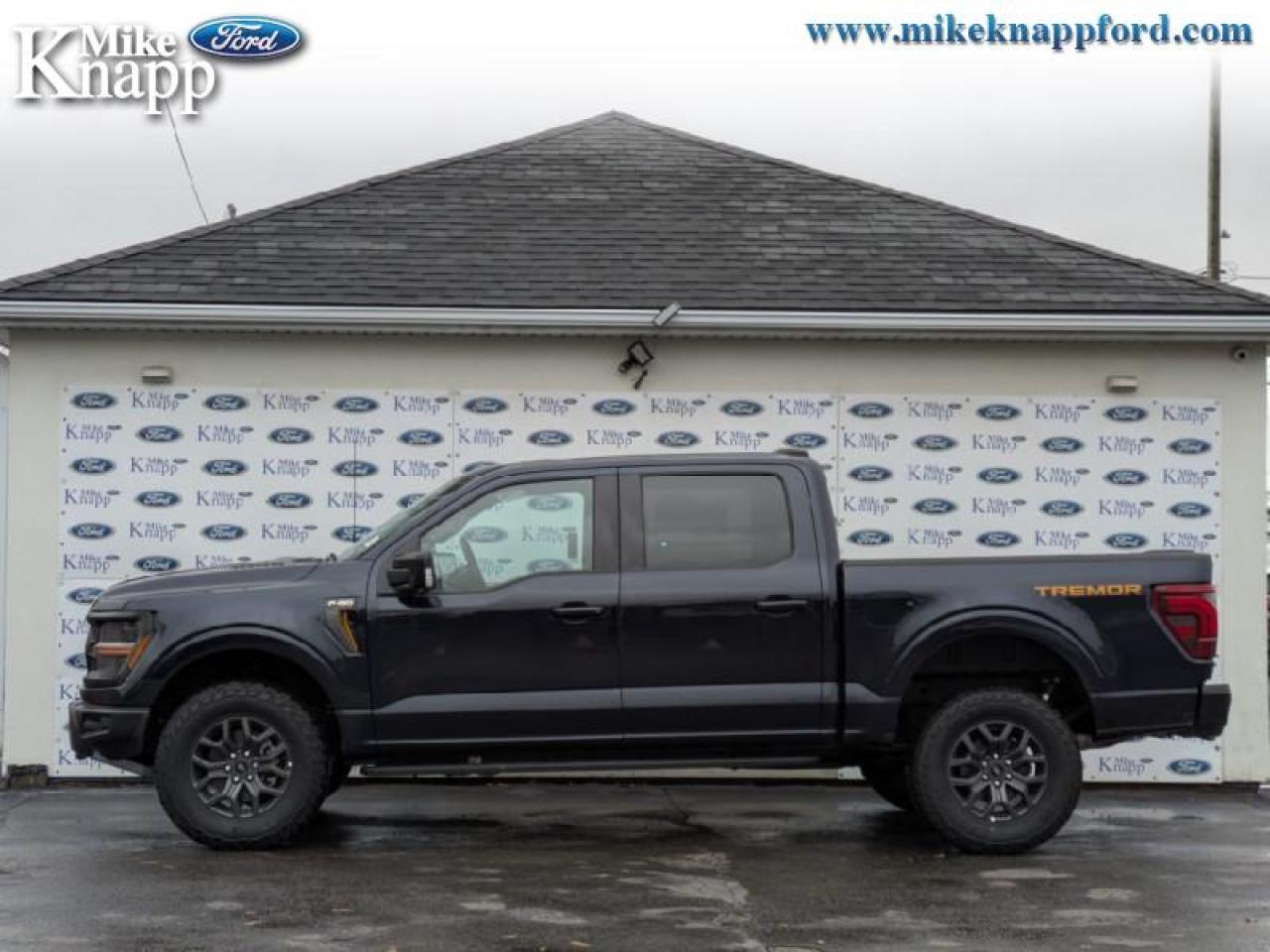 2025 Ford F-150 Tremor Photo