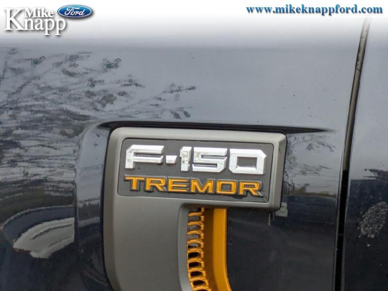 2025 Ford F-150 Tremor Photo