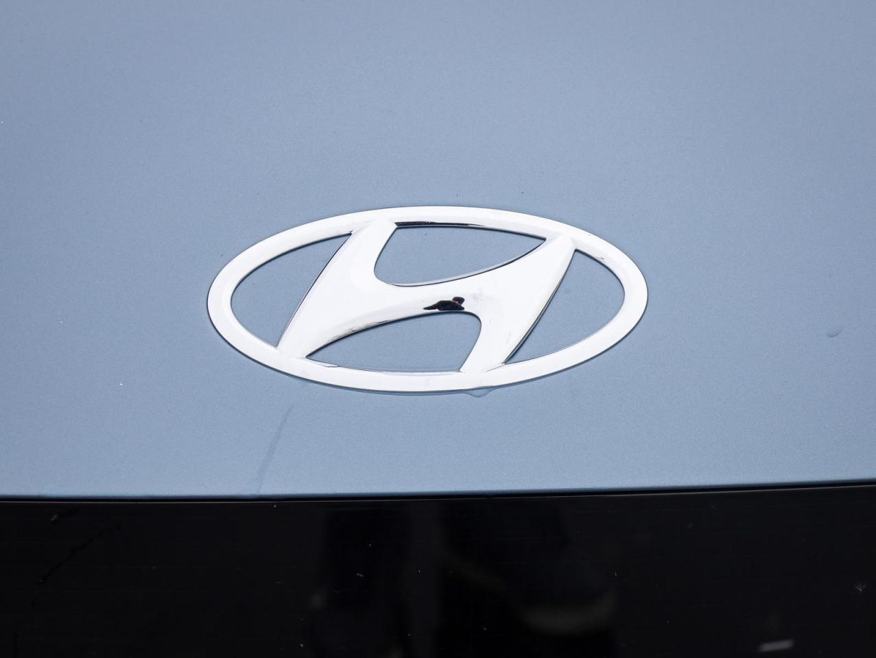 2024 Hyundai IONIQ 5 Preferred Long Range 4x2 Photo