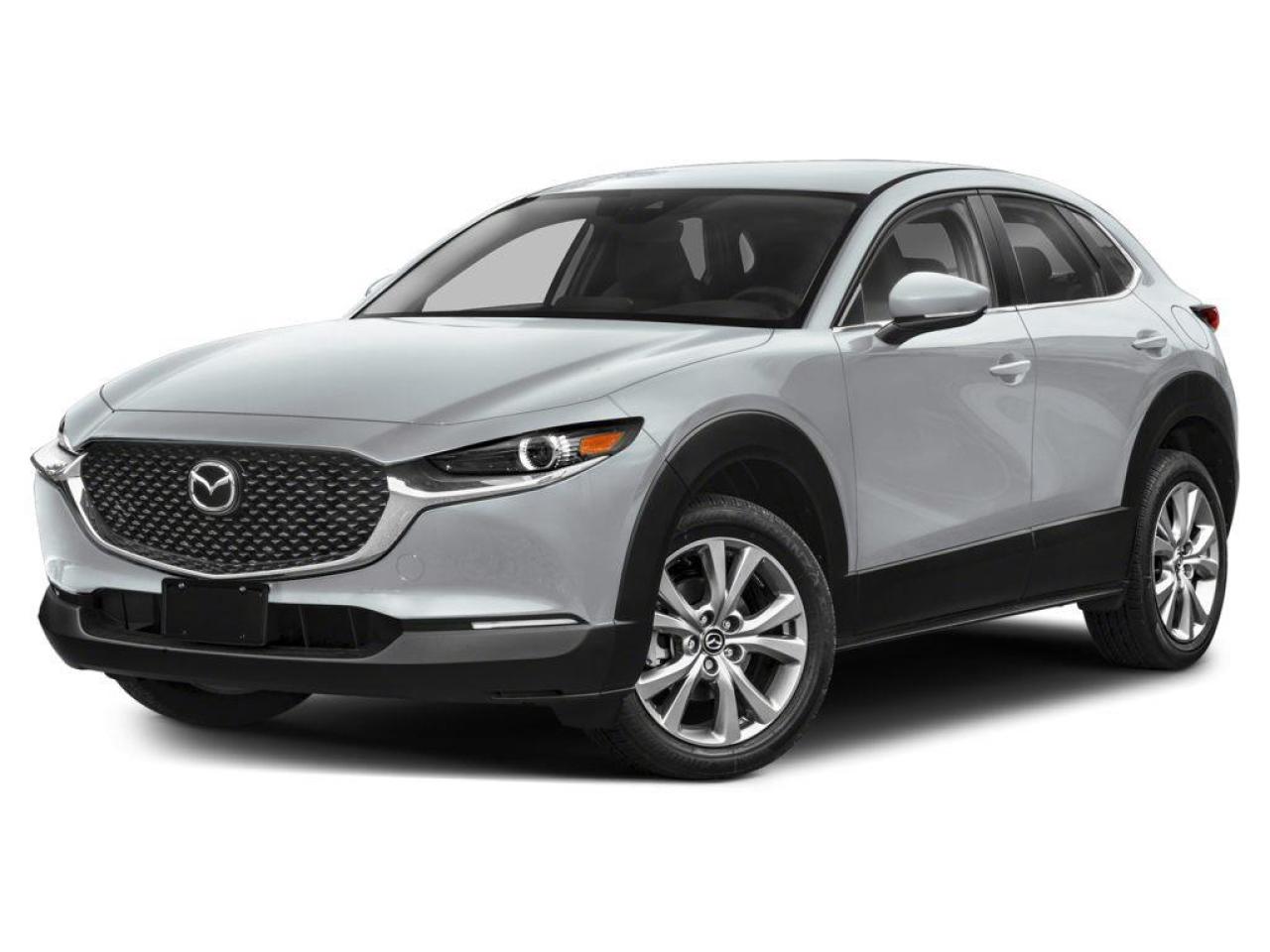 2025 Mazda CX-30 GS 4dr i-ACTIV All-Wheel Drive Sport Utility Photo0