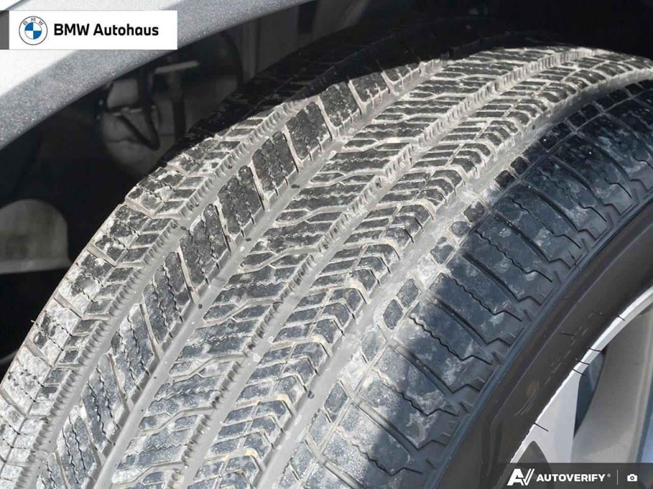 2024 BMW X5 xDrive40i Sports Activity Vehicle Photo