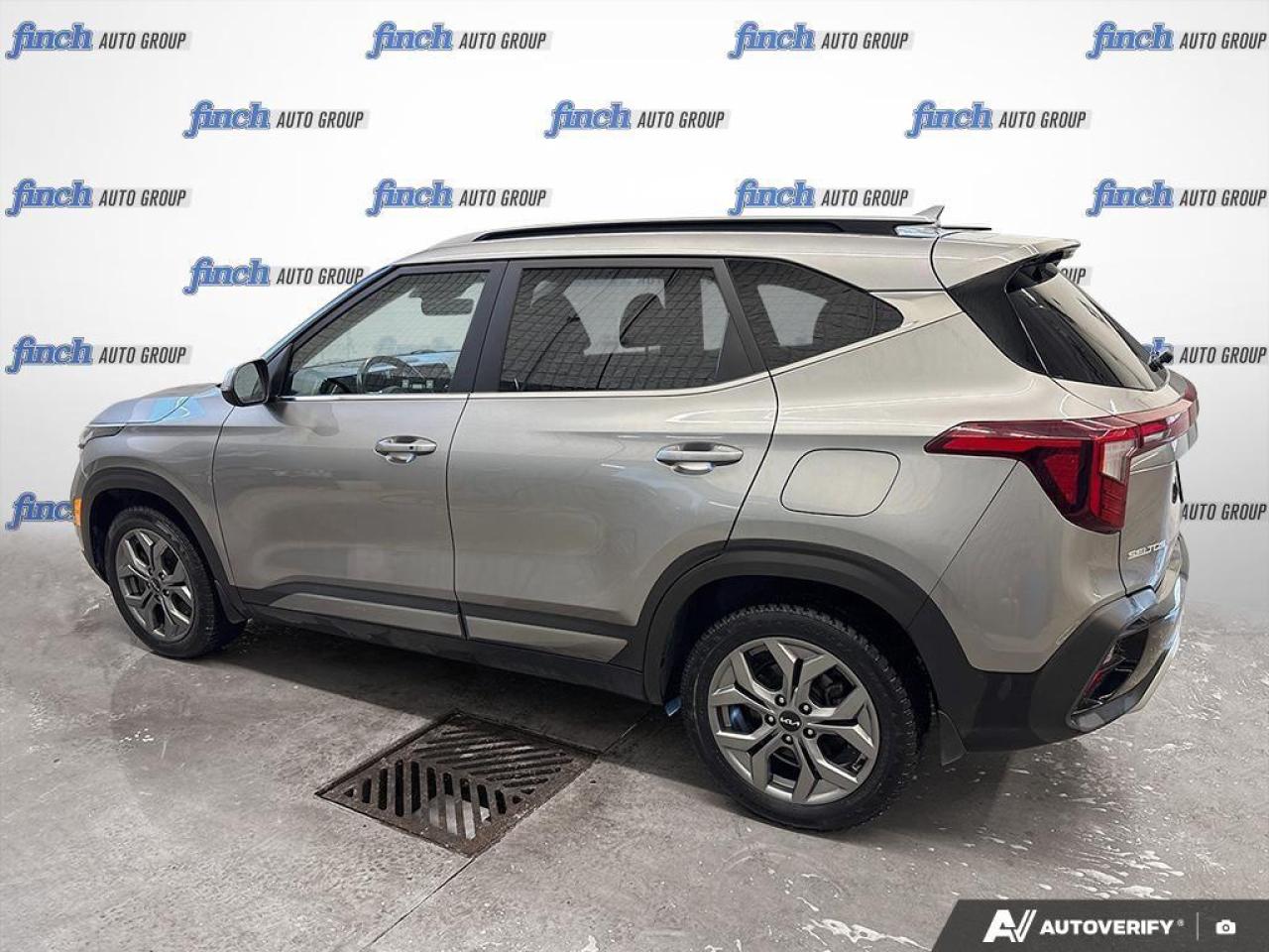 2024 Kia Seltos EX 4dr All-Wheel Drive Photo