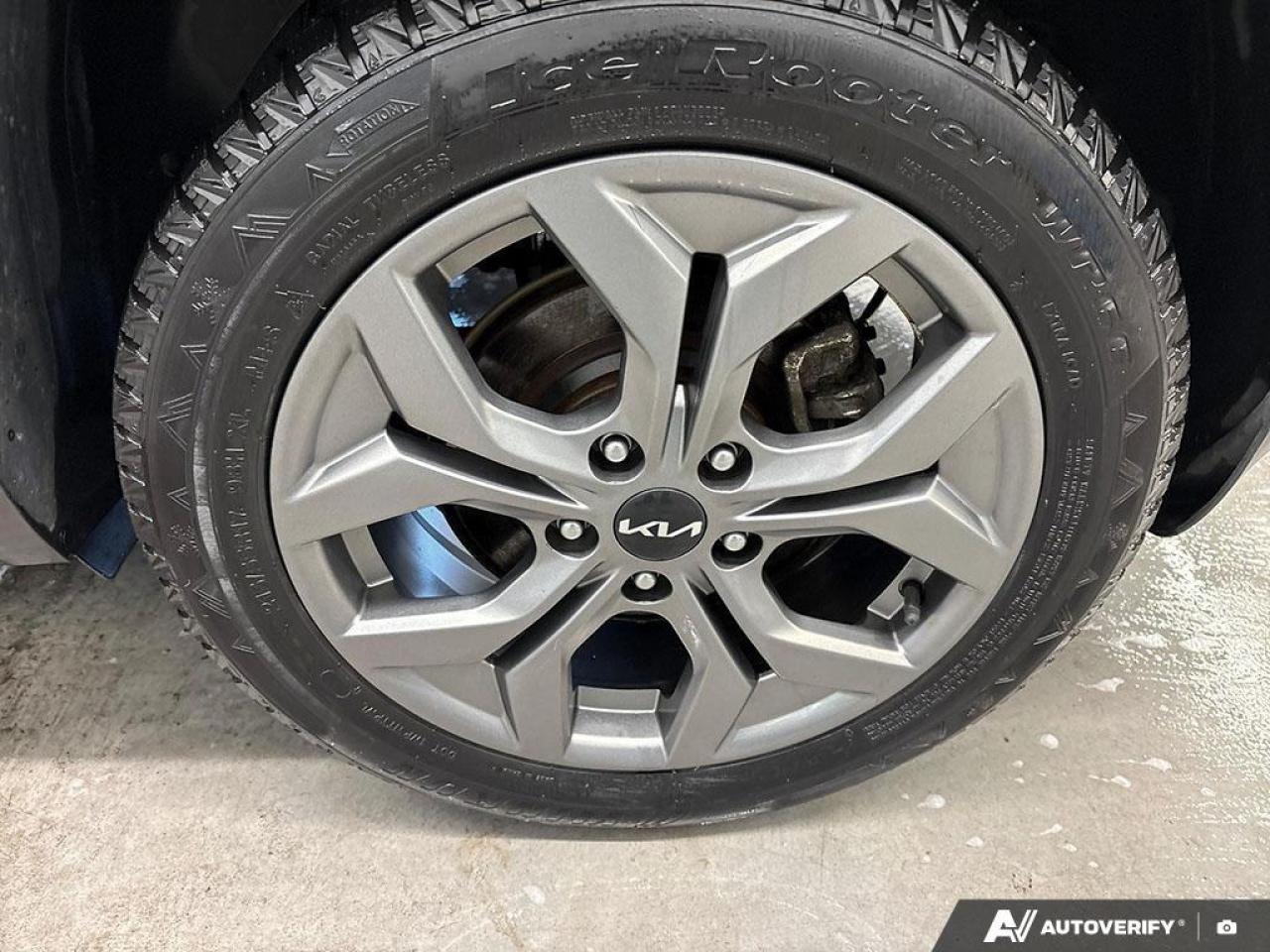 2024 Kia Seltos EX 4dr All-Wheel Drive Photo