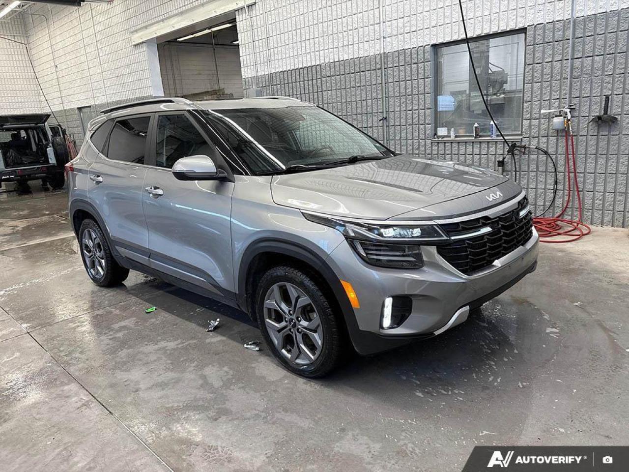 2024 Kia Seltos EX 4dr All-Wheel Drive Photo