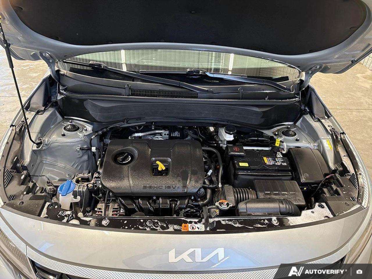 2024 Kia Seltos EX 4dr All-Wheel Drive Photo