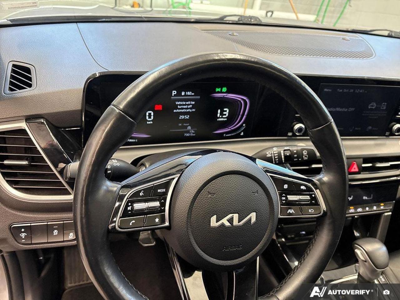 2024 Kia Seltos EX 4dr All-Wheel Drive Photo