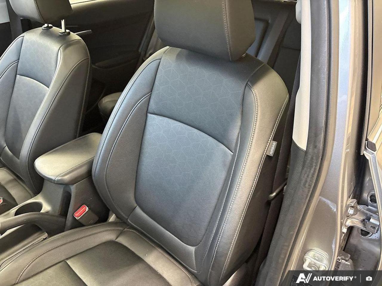 2024 Kia Seltos EX 4dr All-Wheel Drive Photo