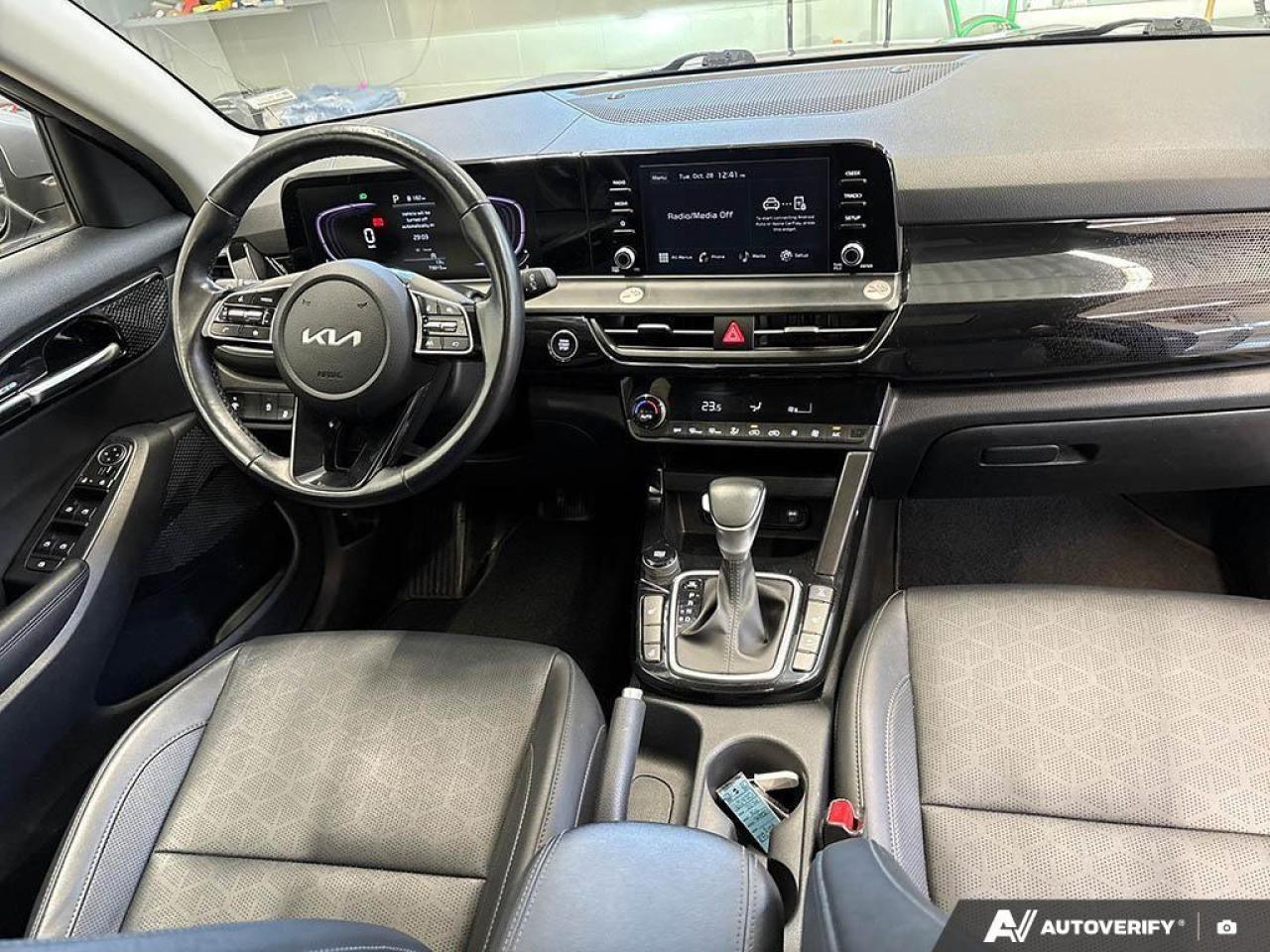 2024 Kia Seltos EX 4dr All-Wheel Drive Photo