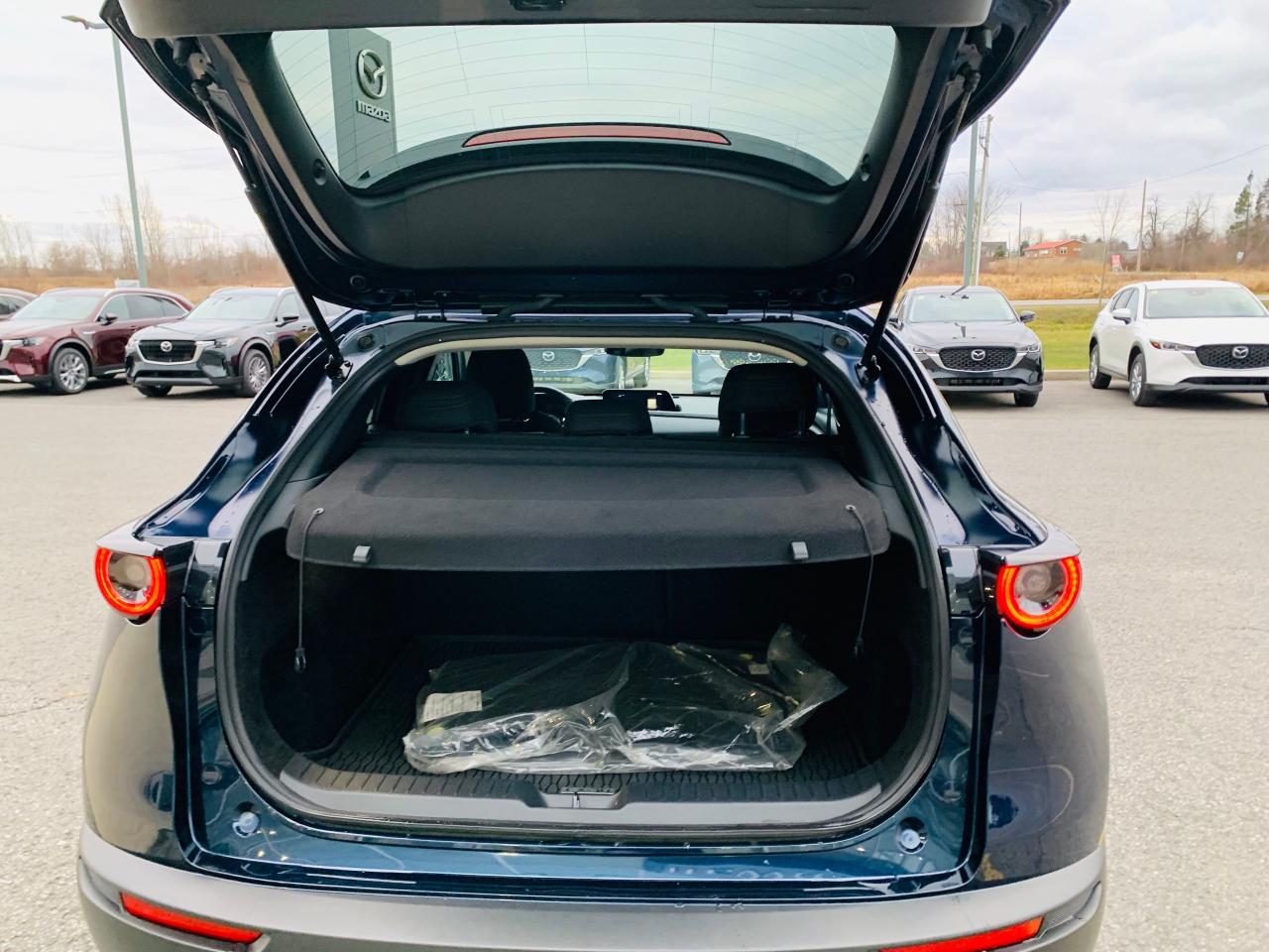 2024 Mazda CX-30 GS 4dr i-ACTIV All-Wheel Drive Sport Utility Photo