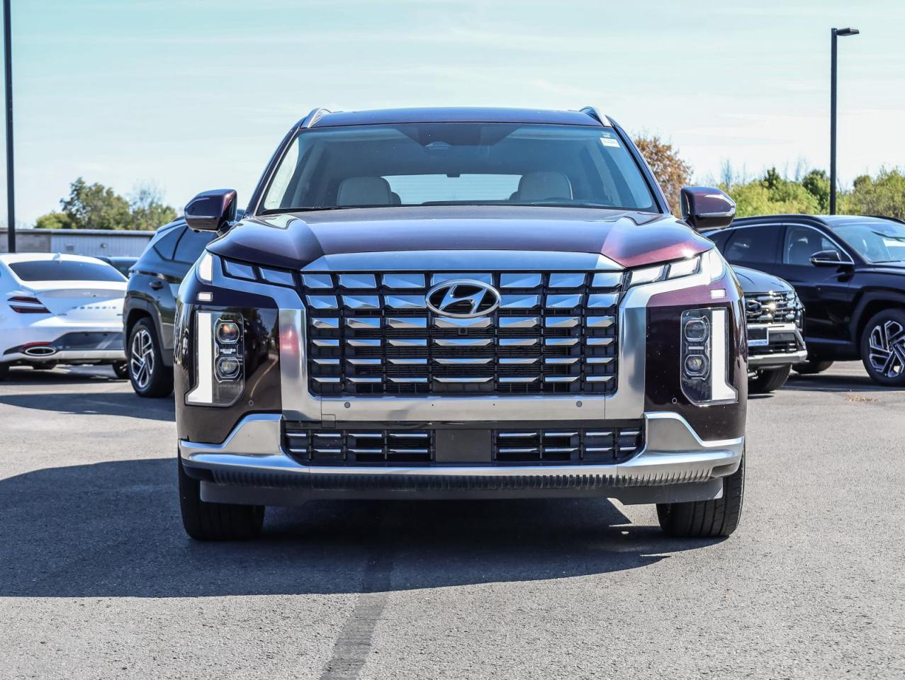 2025 Hyundai PALISADE  Photo