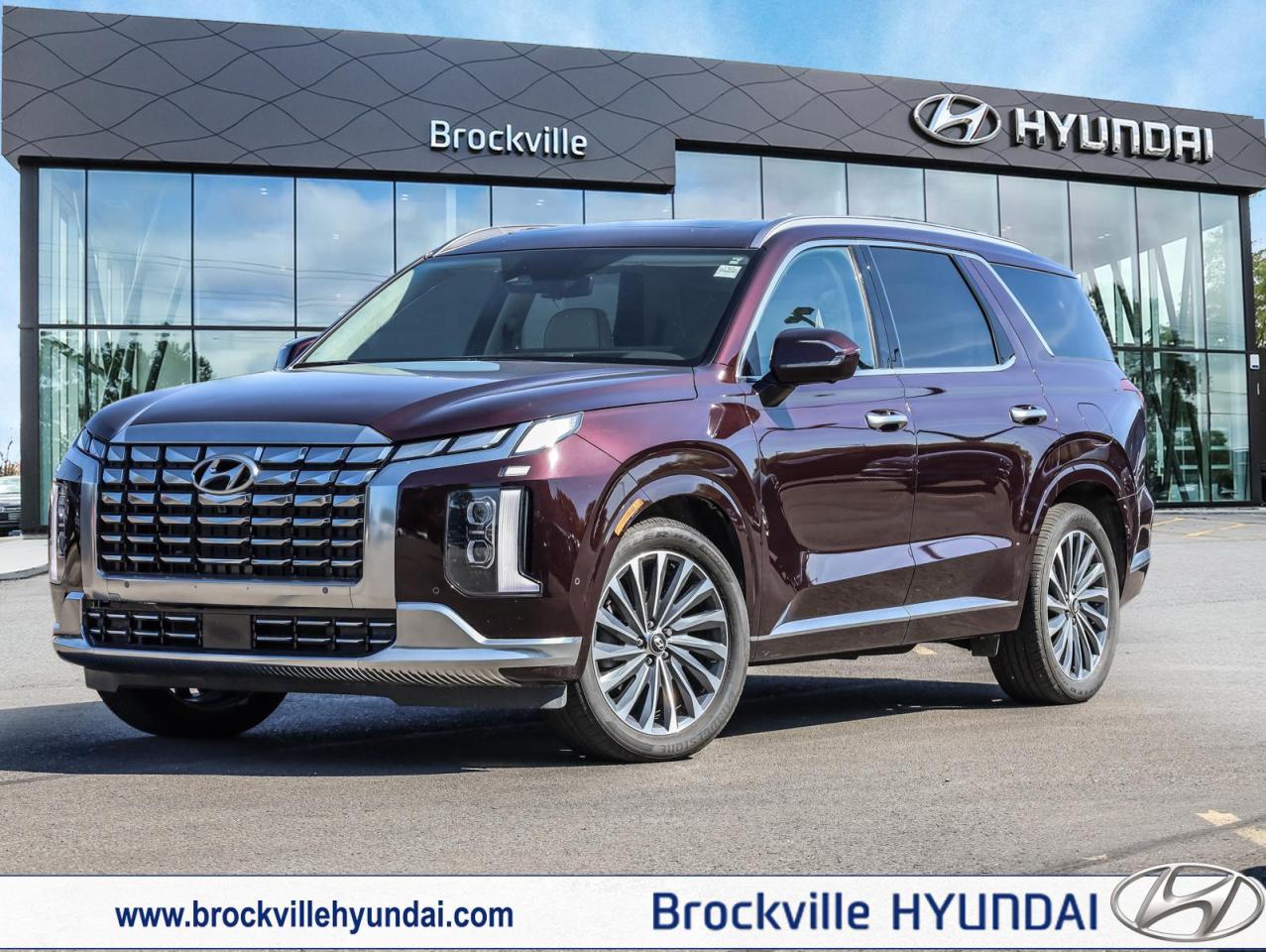 2025 Hyundai PALISADE  Photo0