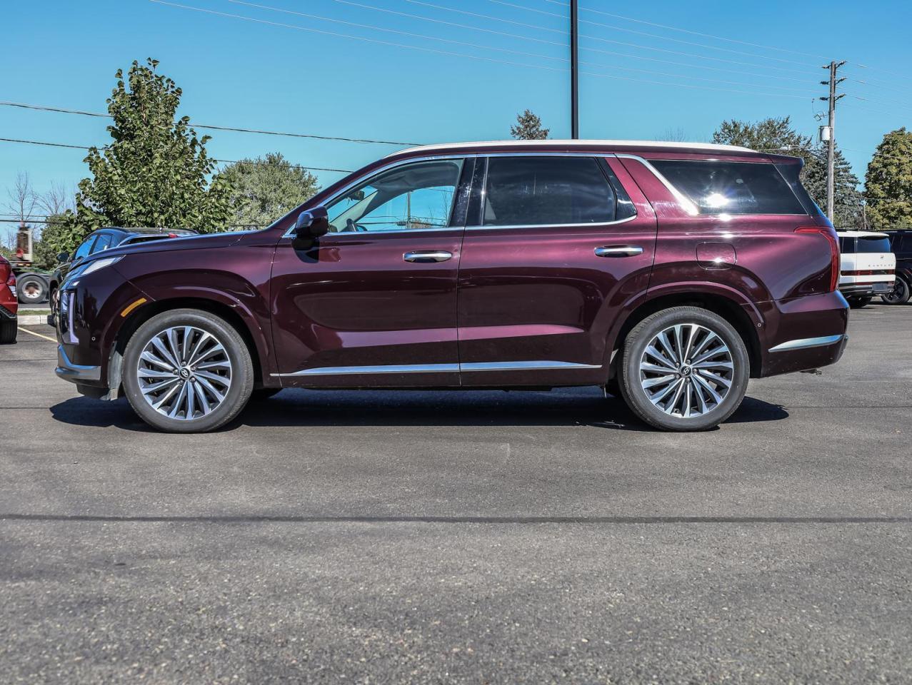 2025 Hyundai PALISADE  Photo4