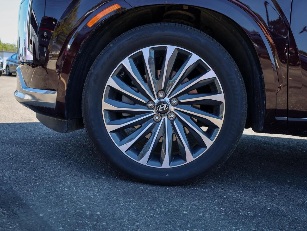 2025 Hyundai PALISADE  Photo