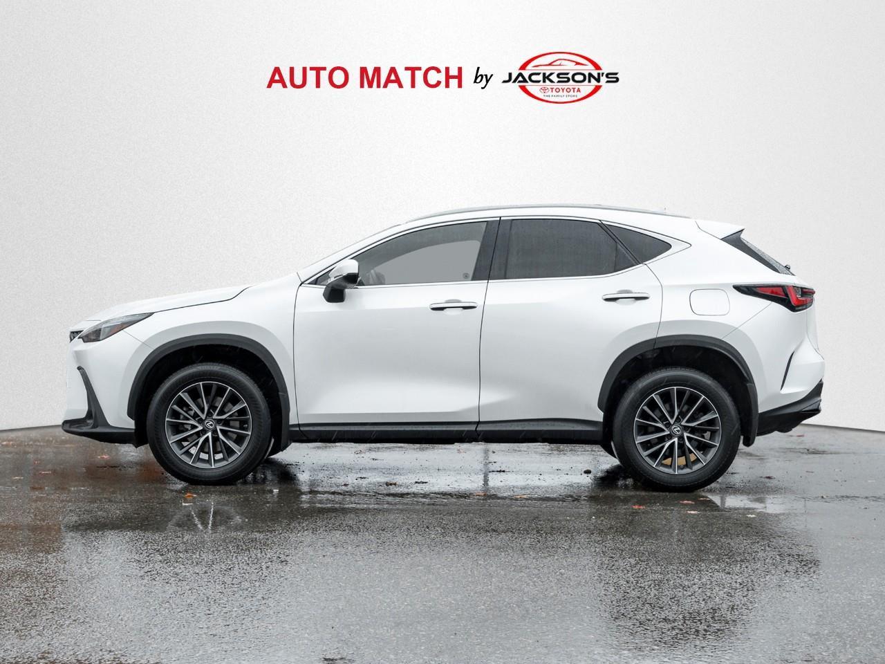 2022 Lexus NX 350h Base 4dr All-Wheel Drive Photo3