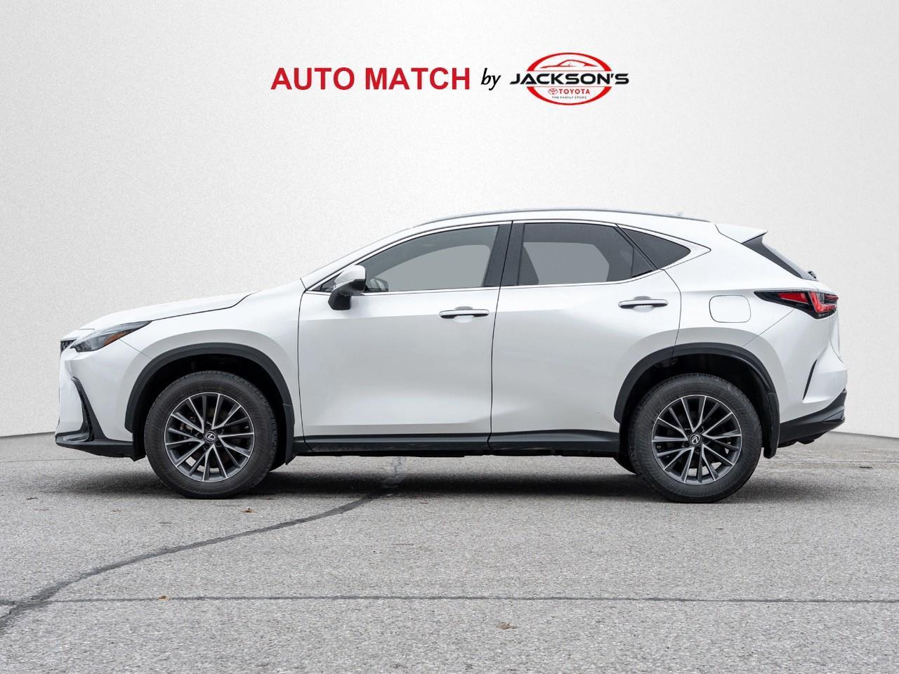 2022 Lexus NX 350h Base 4dr All-Wheel Drive Photo3