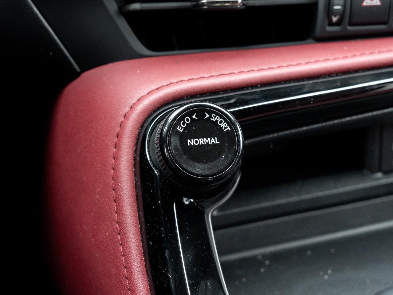 2022 Lexus NX 350h Base 4dr All-Wheel Drive Photo