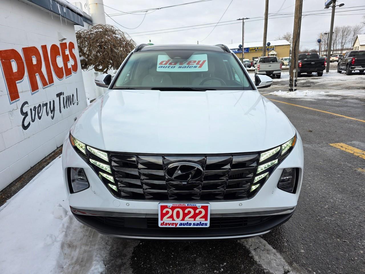 2022 Hyundai Tucson Hybrid Ultimate 4dr All-Wheel Drive Photo