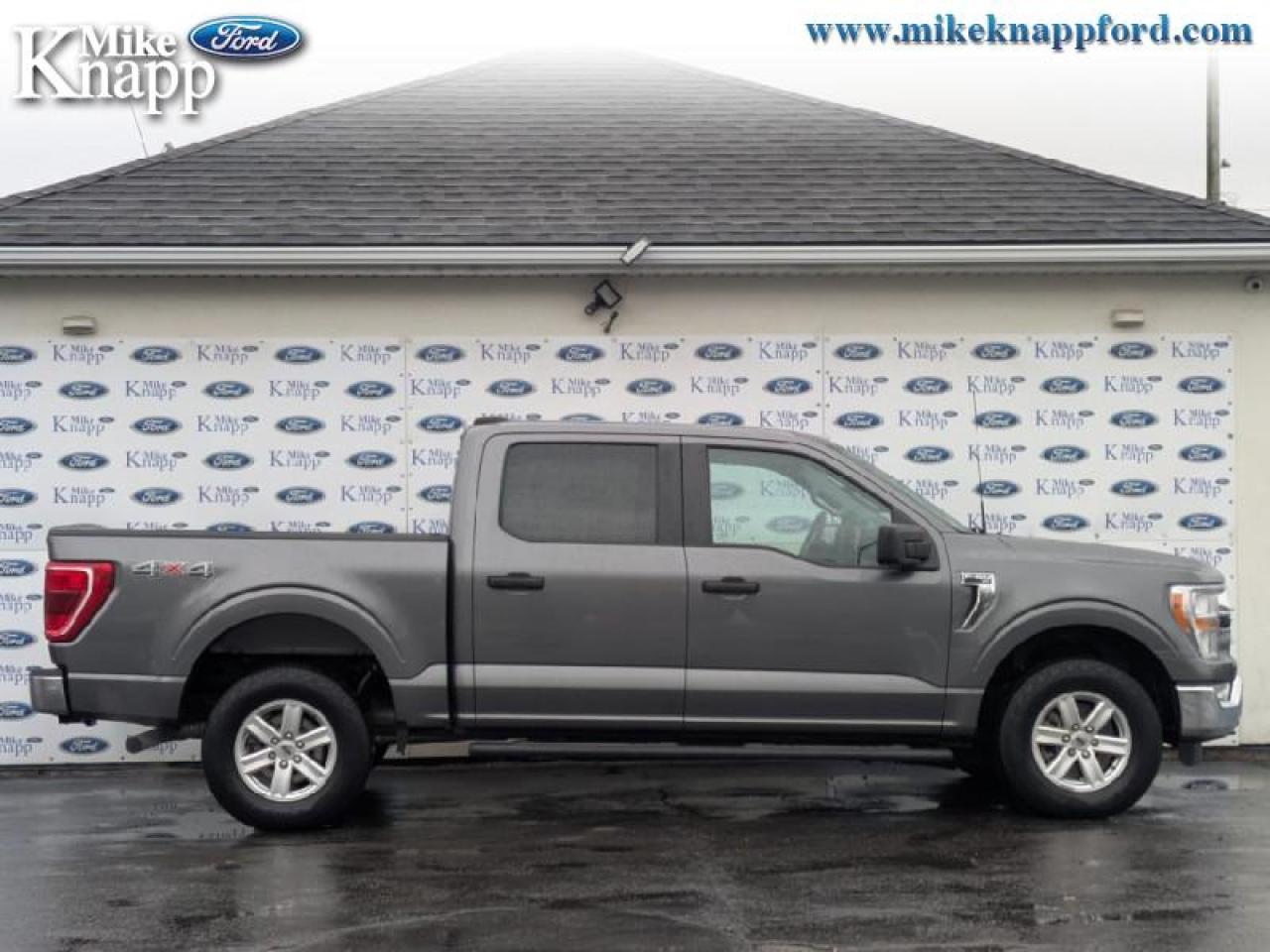 2022 Ford F-150 XLT Photo