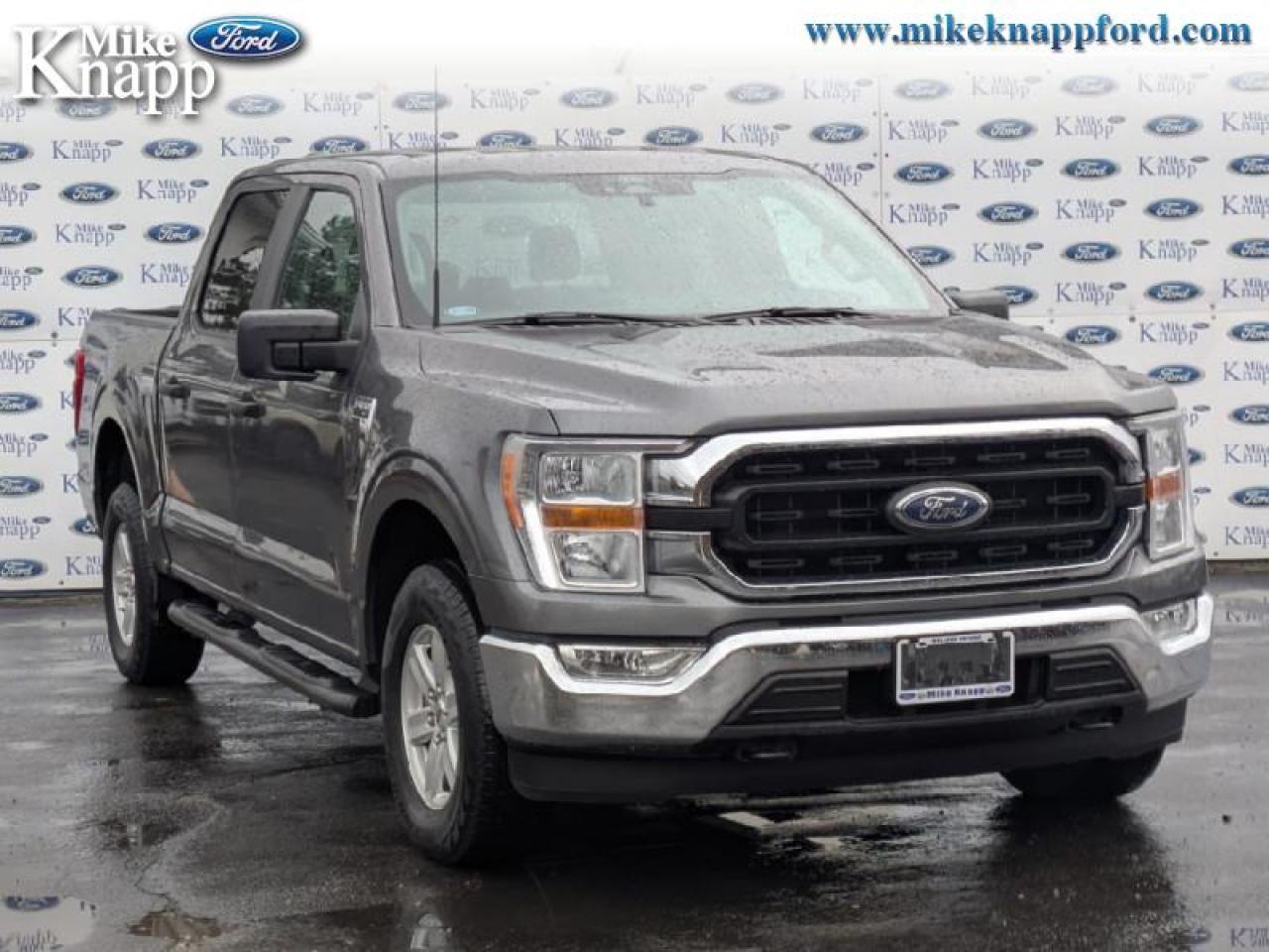 2022 Ford F-150 XLT Photo