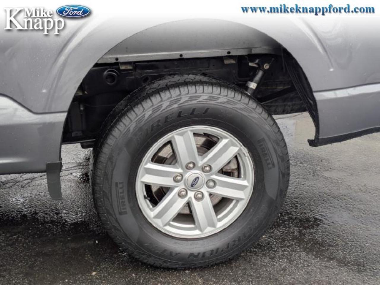 2022 Ford F-150 XLT Photo