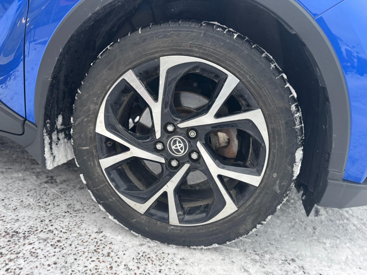 2022 Toyota C-HR XLE Premium 4dr Front-Wheel Drive Sport Utility Photo