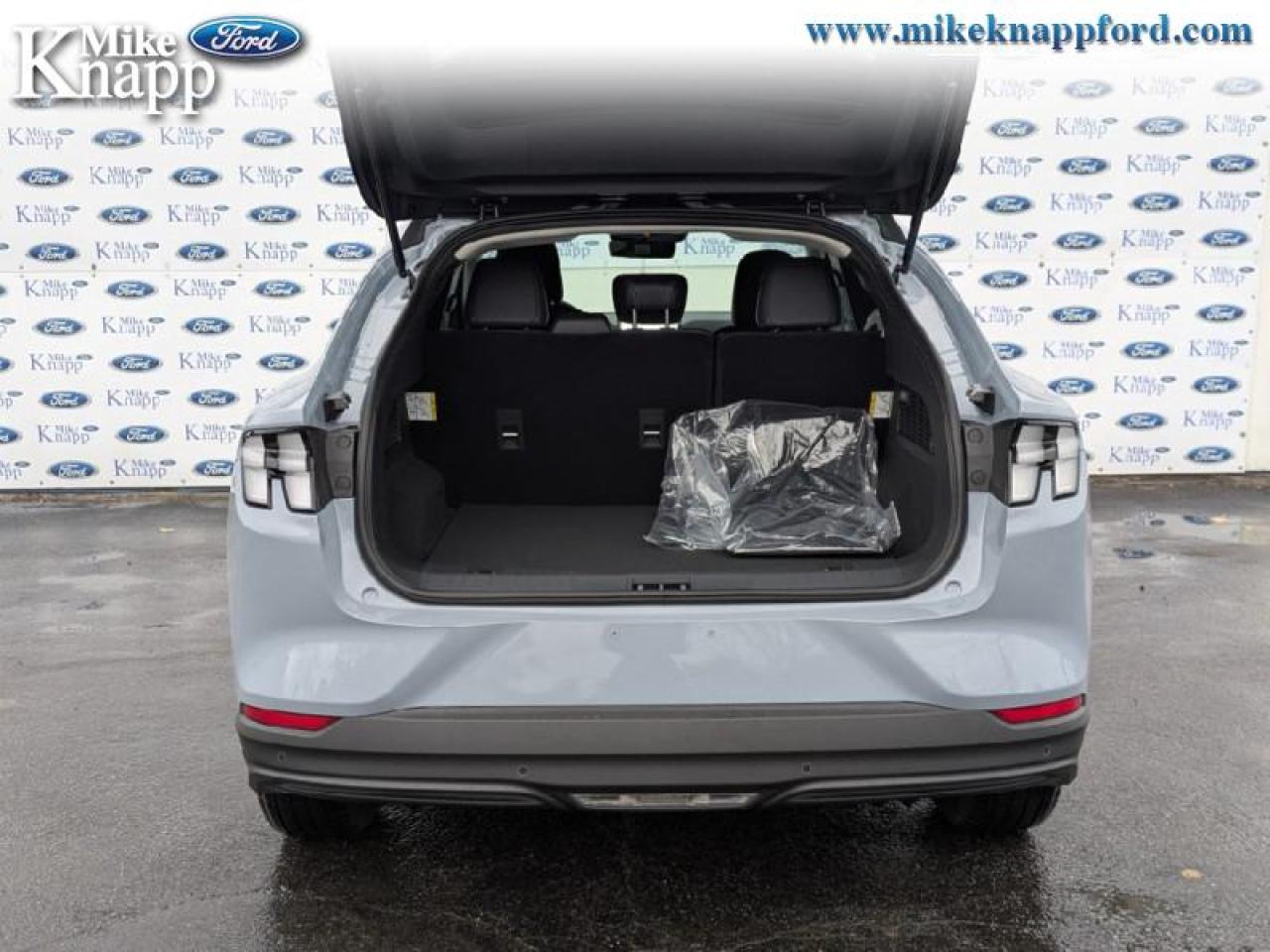 2025 Ford Mustang Mach-E Select AWD Photo