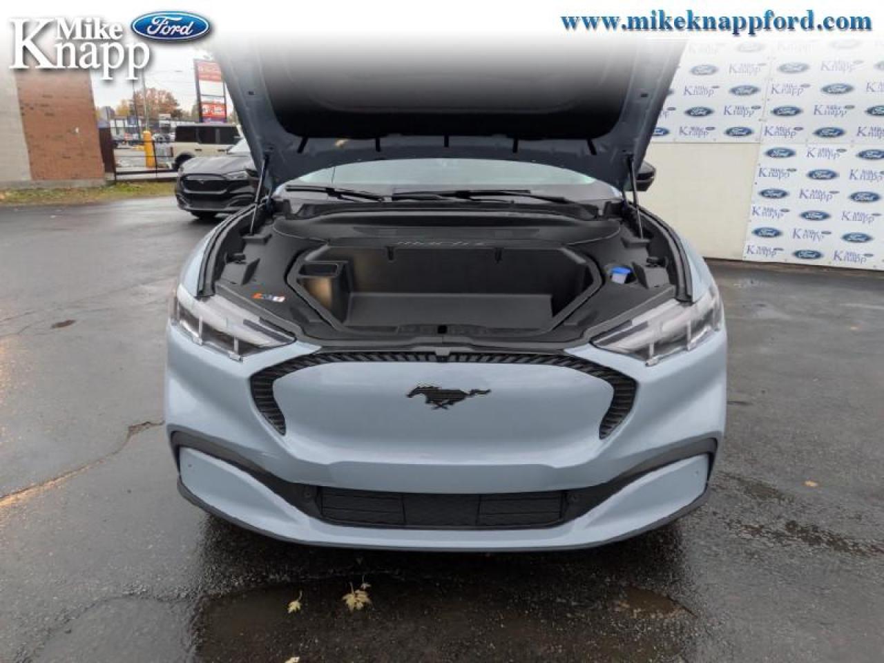 2025 Ford Mustang Mach-E Select AWD Photo