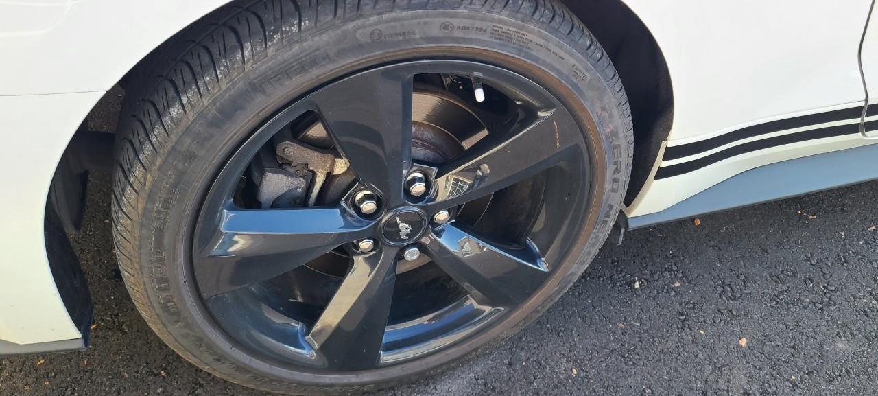 2022 Ford Mustang GT 2dr Fastback Photo