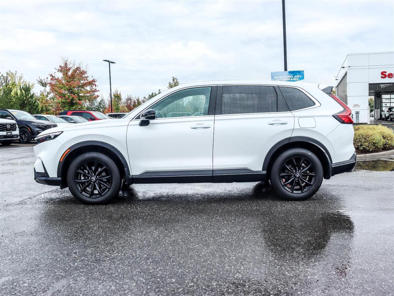 2024 Honda CR-V Hybrid EX-L 4dr All-Wheel Drive Photo