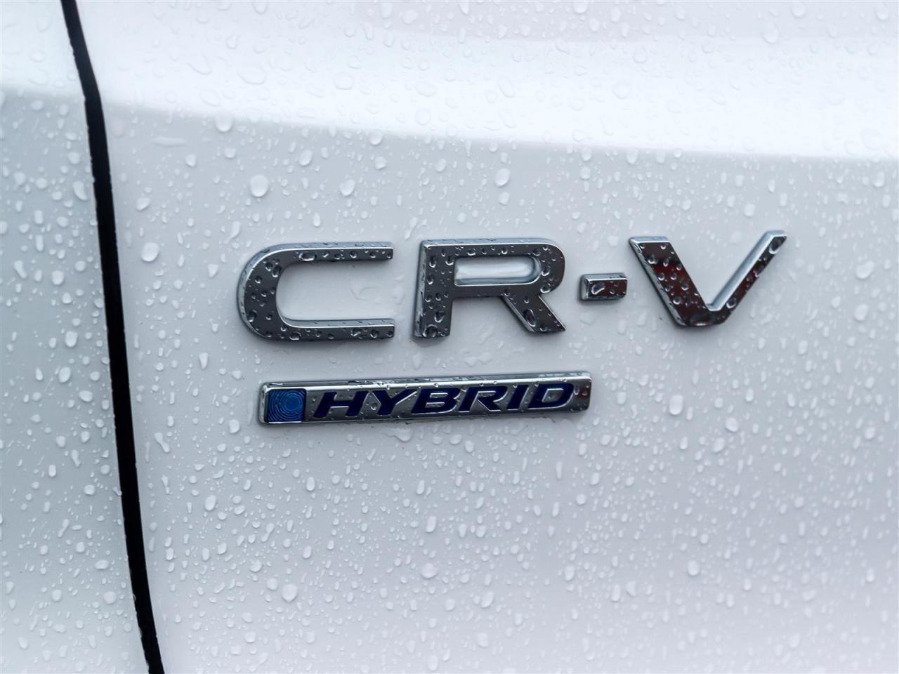 2024 Honda CR-V Hybrid EX-L 4dr All-Wheel Drive Photo