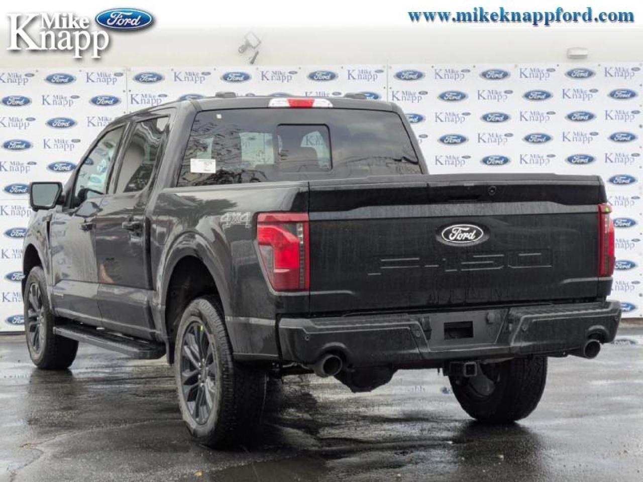 2025 Ford F-150 XLT Photo
