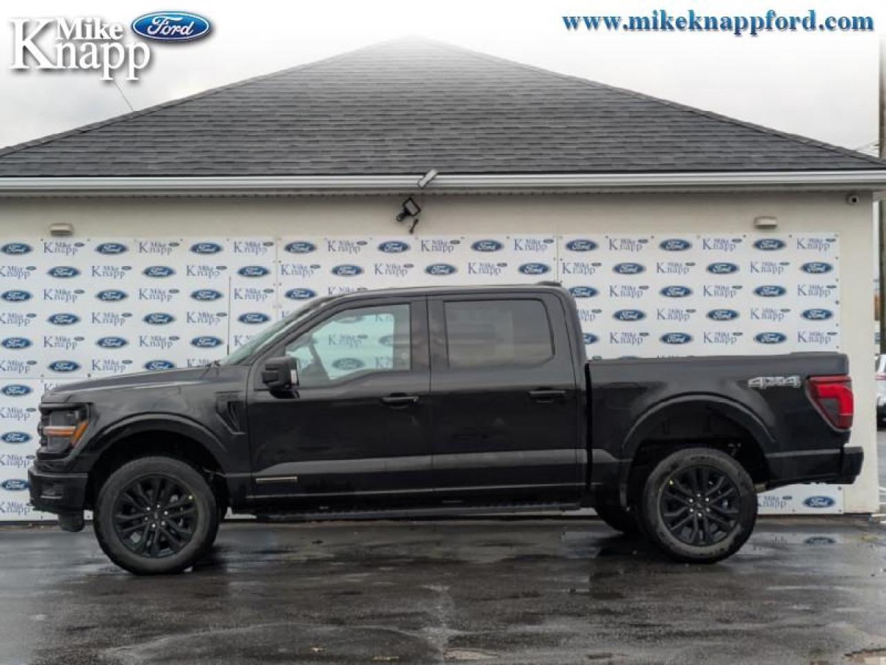 2025 Ford F-150 XLT Photo