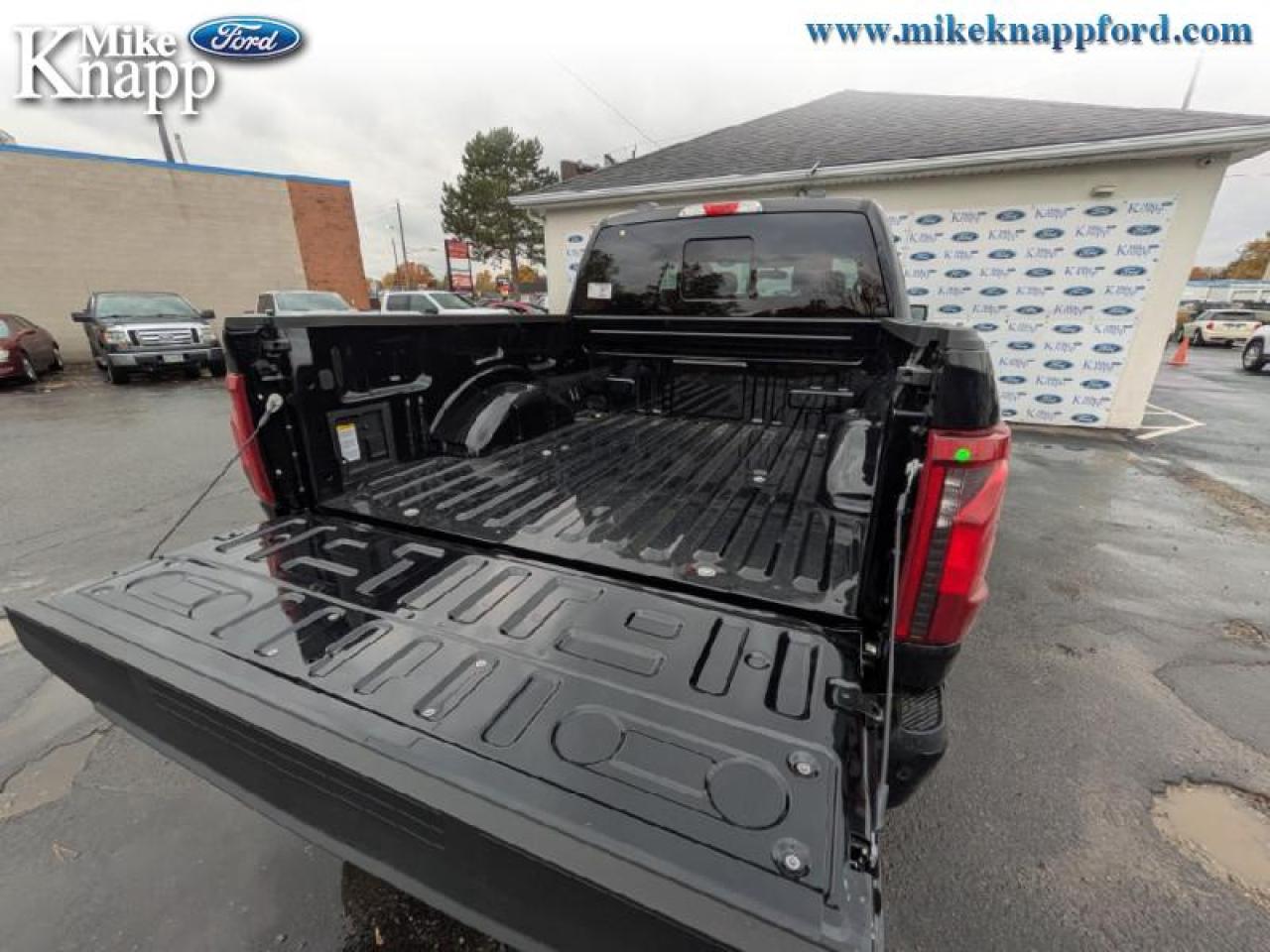 2025 Ford F-150 XLT Photo