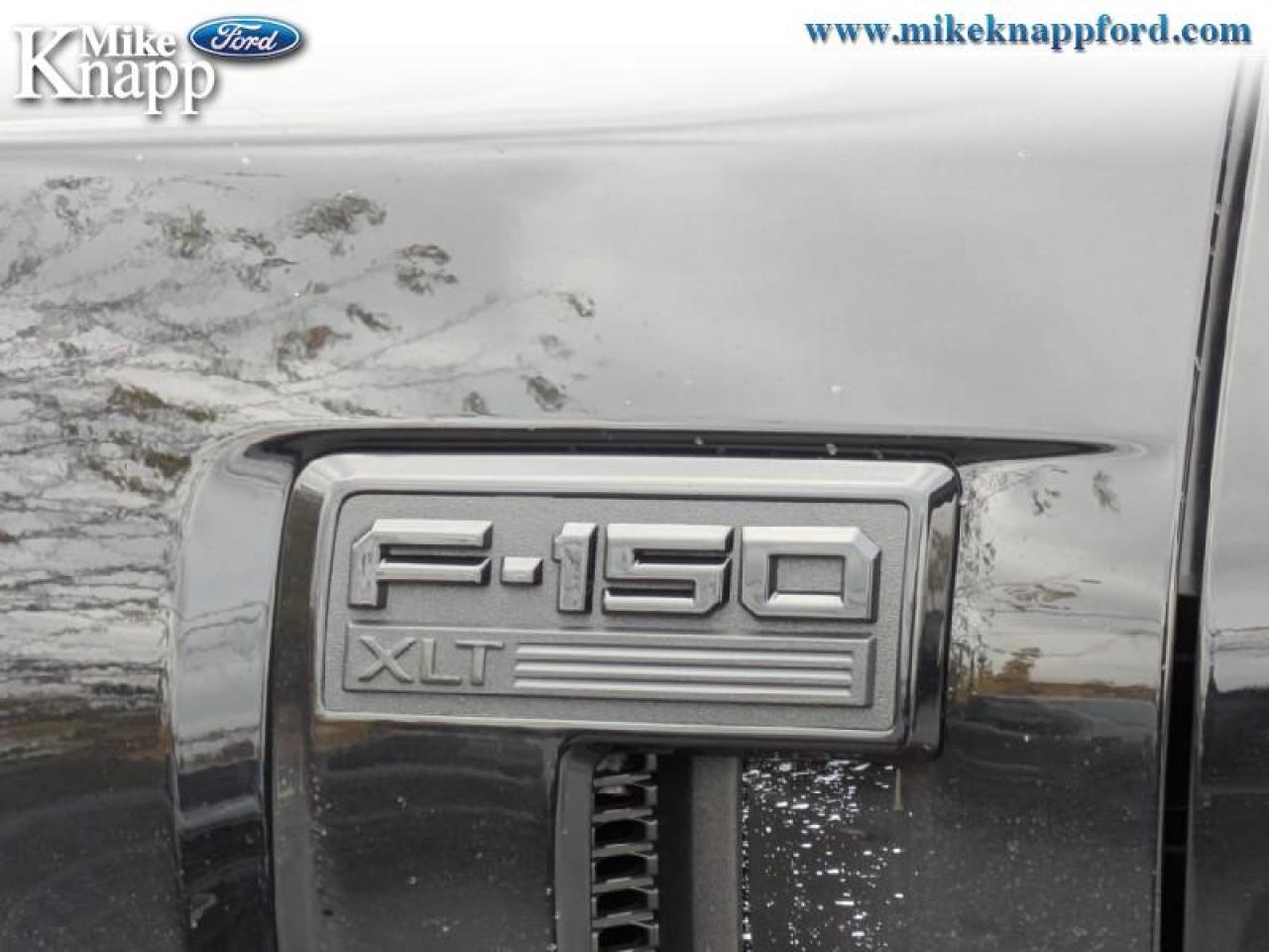 2025 Ford F-150 XLT Photo