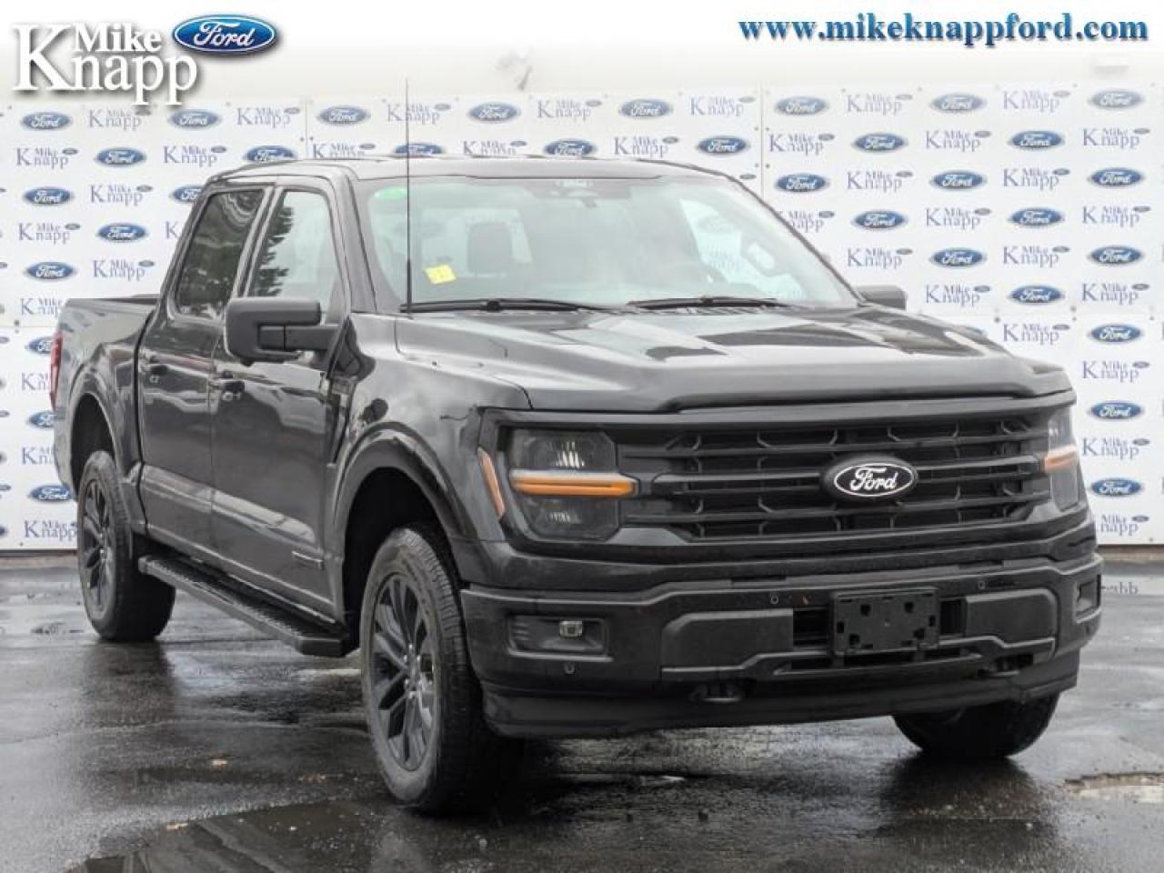 2025 Ford F-150 XLT Photo