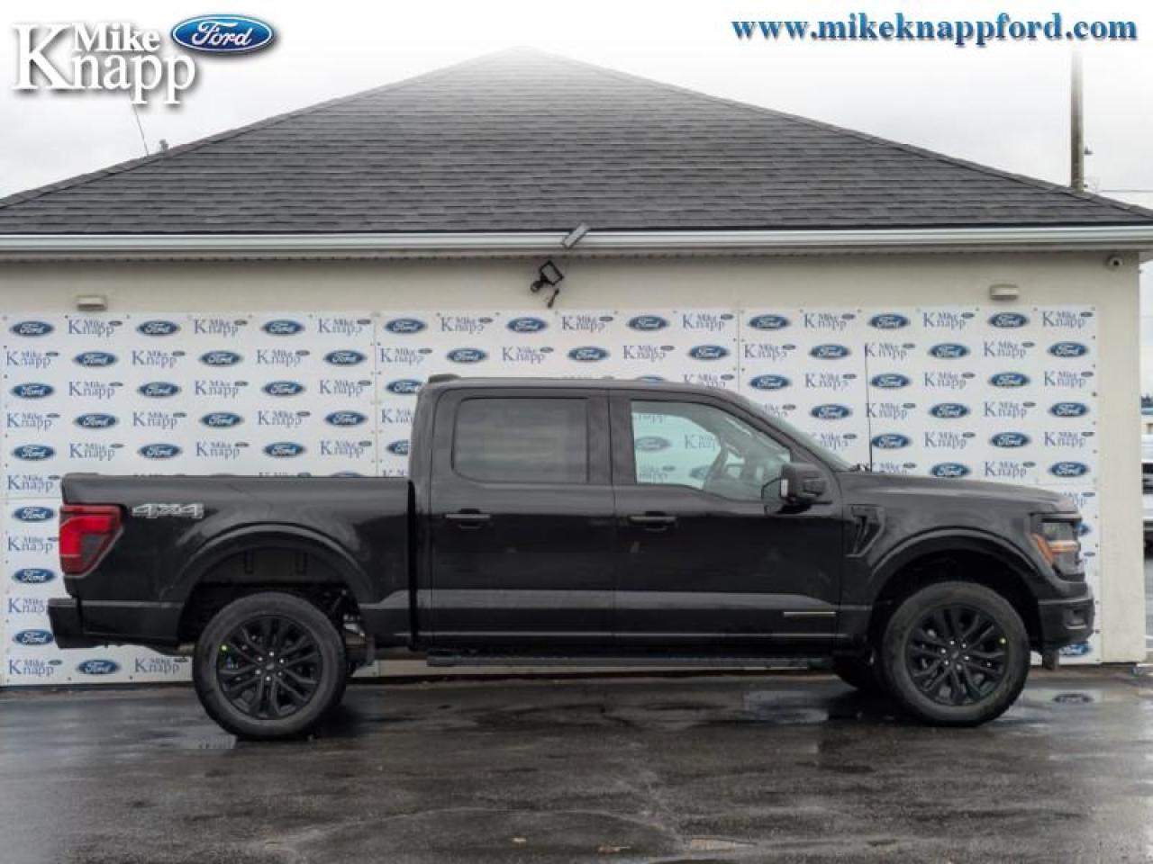 2025 Ford F-150 XLT Photo