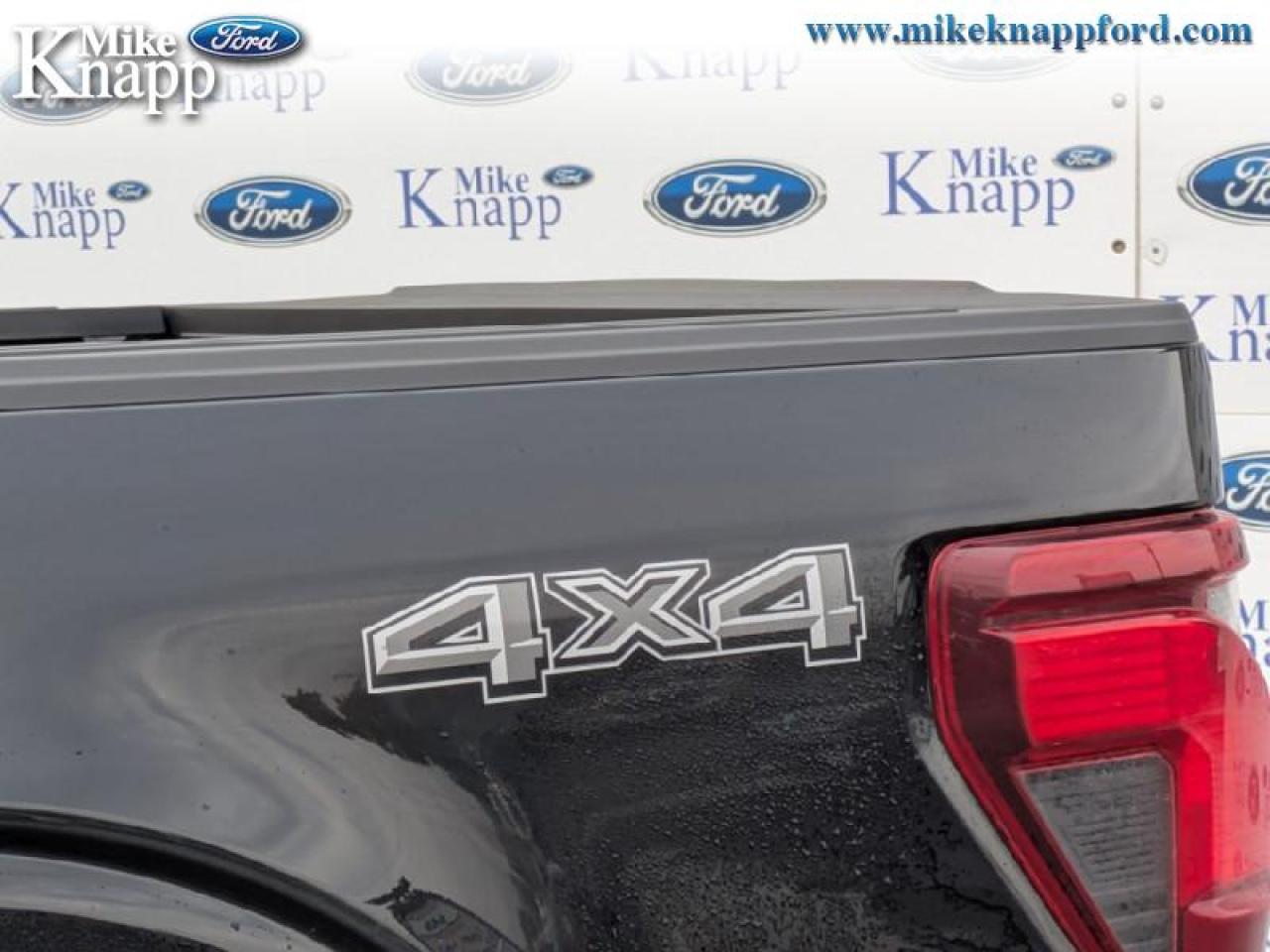 2025 Ford F-150 XLT Photo