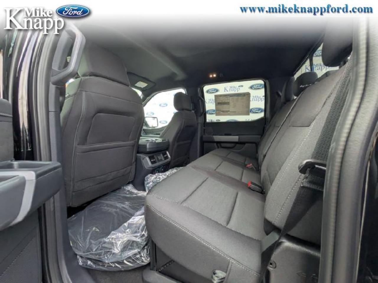 2025 Ford F-150 XLT Photo