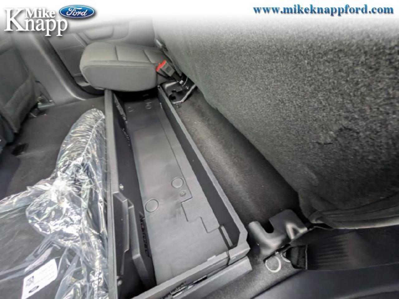 2025 Ford F-150 XLT Photo