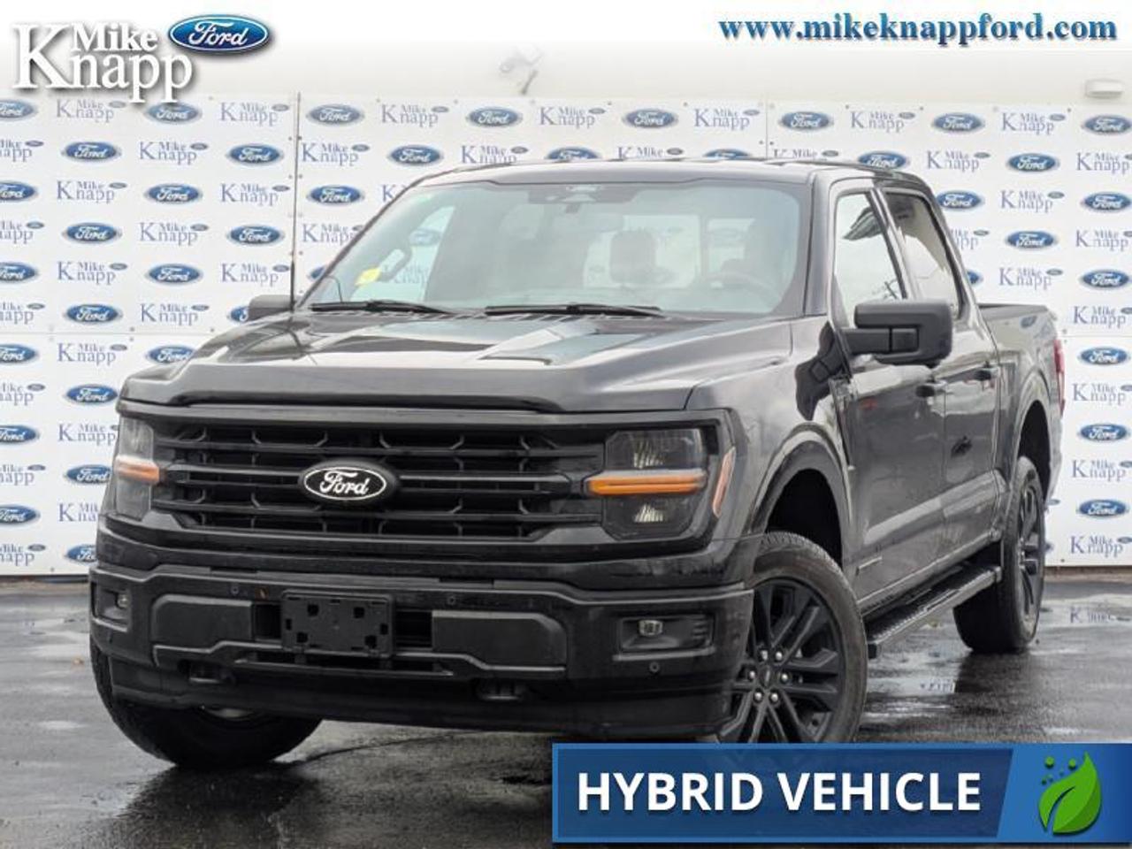 2025 Ford F-150 XLT Photo