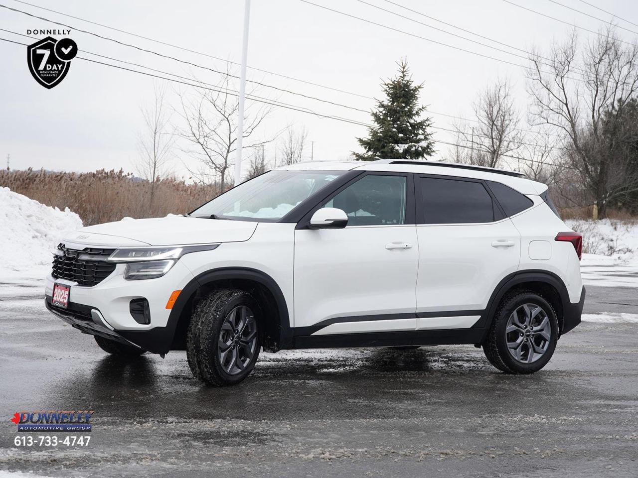 2025 Kia Seltos  Photo