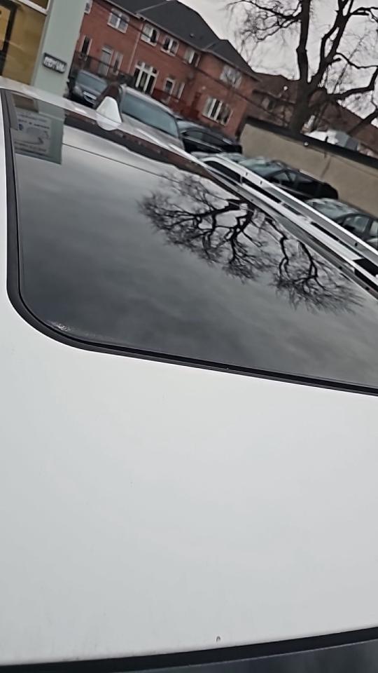 2020 GMC Terrain AWD 4dr Denali/Fully Loaded/Navigation/Heated Stee Photo