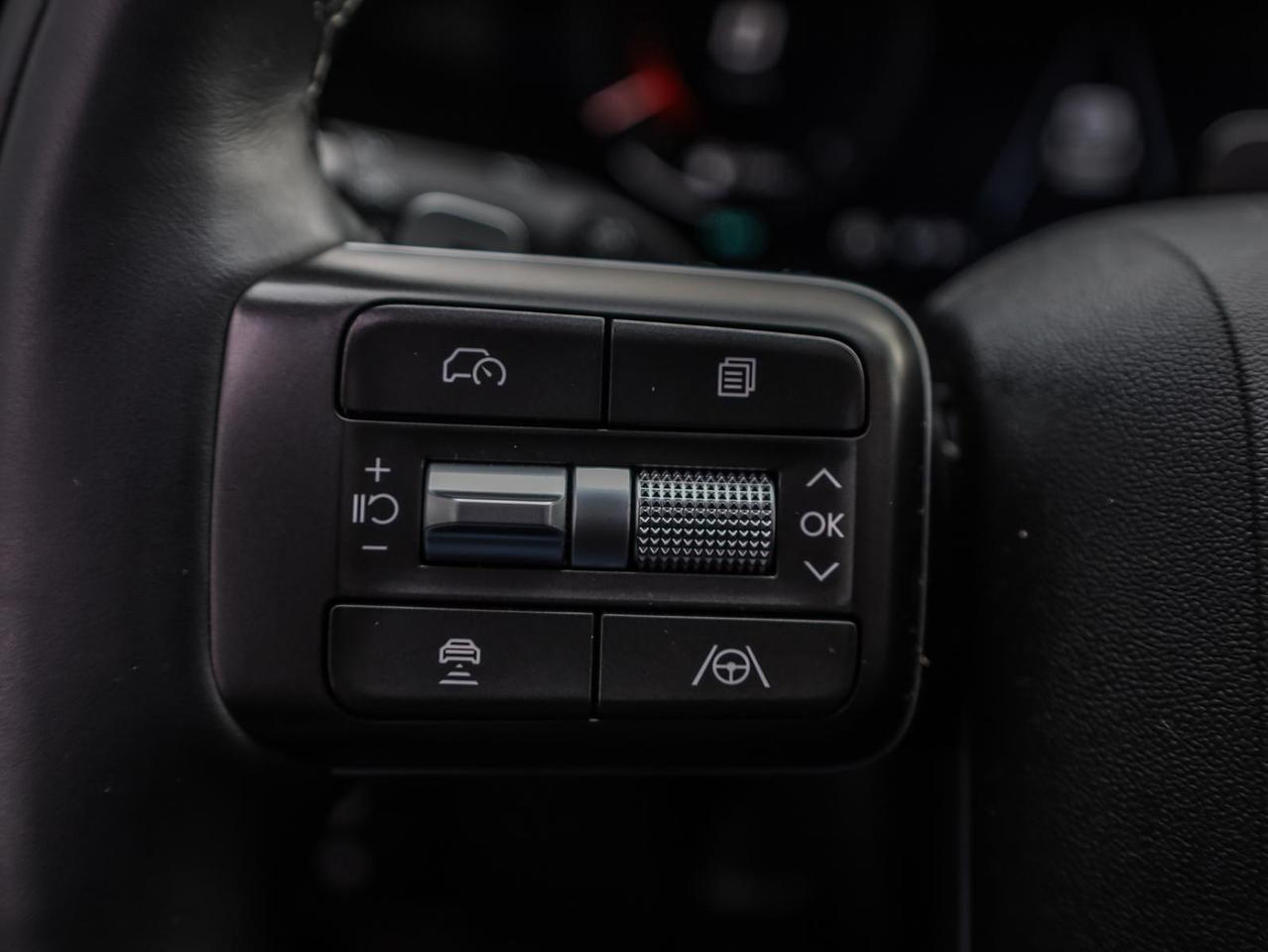 2026 Hyundai PALISADE Ultimate Calligraphy 4dr All-Wheel Drive Photo