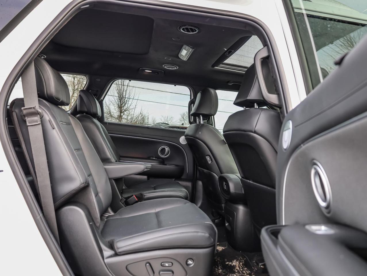 2026 Hyundai PALISADE Ultimate Calligraphy 4dr All-Wheel Drive Photo