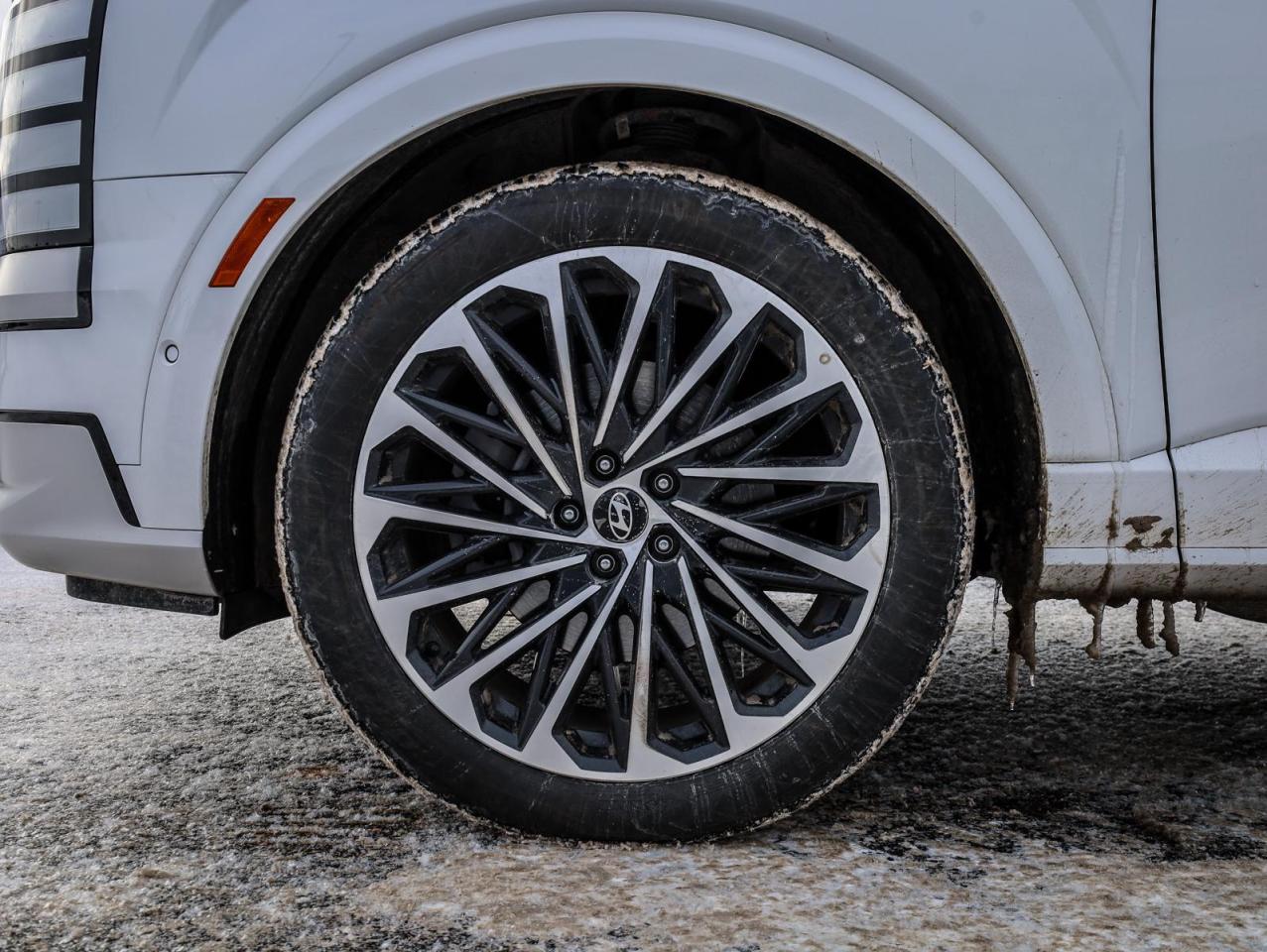 2026 Hyundai PALISADE Ultimate Calligraphy 4dr All-Wheel Drive Photo