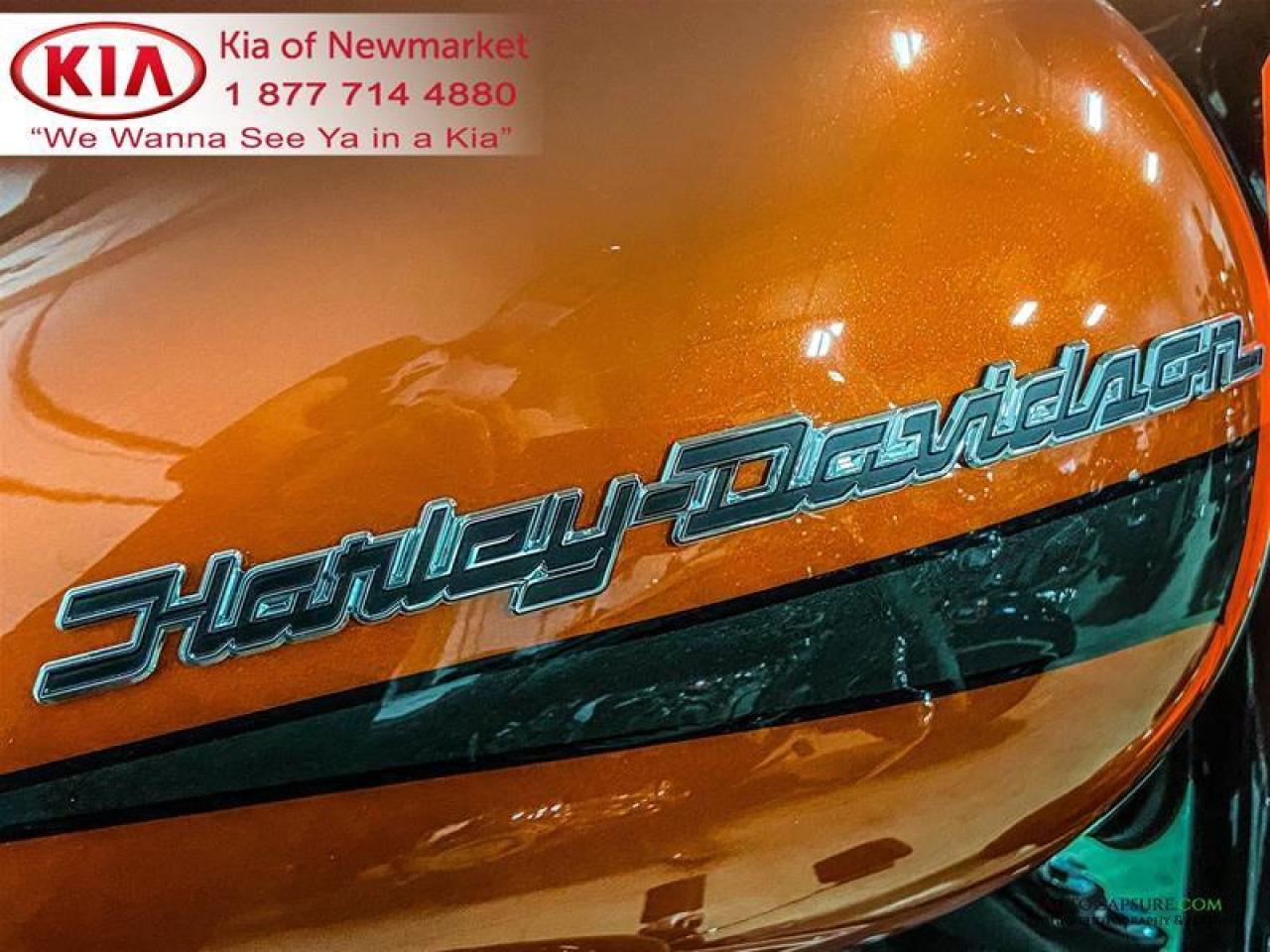 2020 Harley-Davidson Unlisted Item  Photo