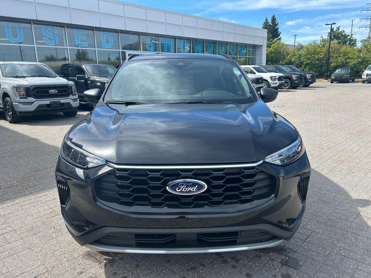 2025 Ford Escape ST-Line 4dr All-Wheel Drive Photo