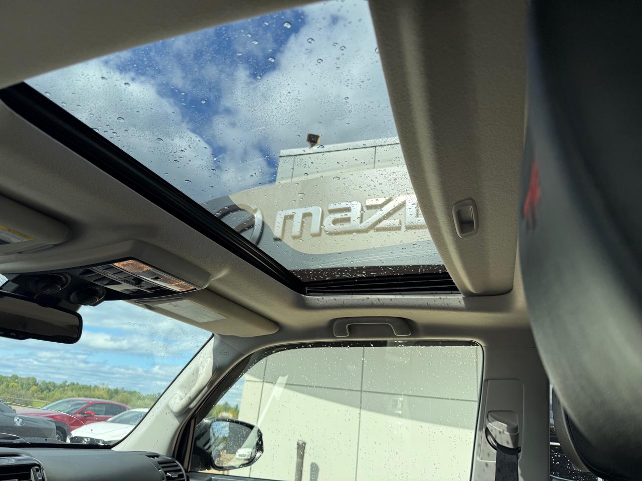 2021 Toyota 4Runner Base 4dr 4x4 Photo