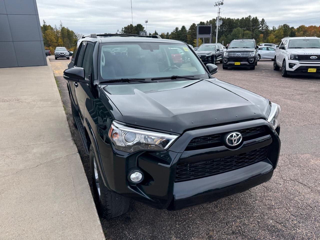 2019 Toyota 4Runner SR5 4dr 4x4 Photo